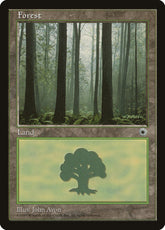 Floresta / Forest - Magic: The Gathering - MoxLand